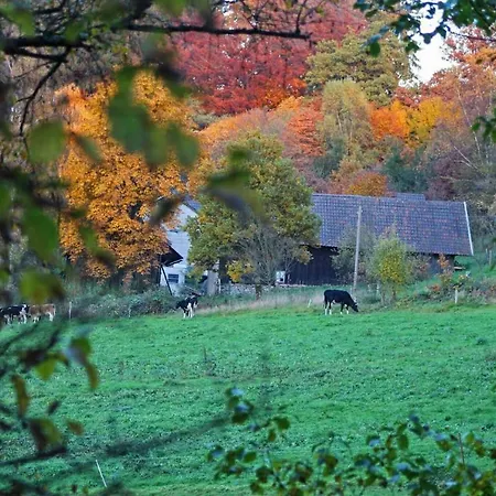 Gastehaus Alpaka Blick