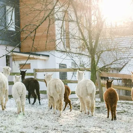 Gastehaus Alpaka Blick Vakantiehuis Friesenhagen