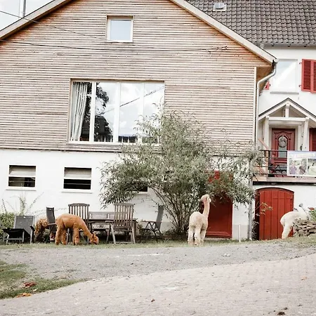Gastehaus Alpaka Blick Friesenhagen